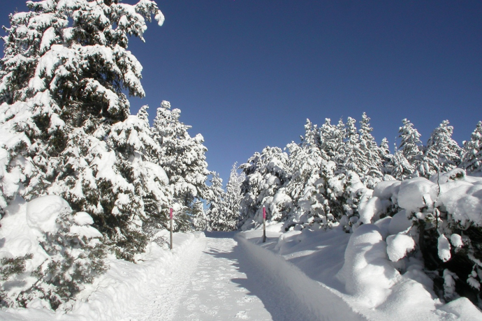 verschneite Landschaft bei Chamues-ch