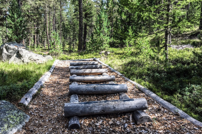 Vita Parcours Celerina (oua_62765842_image)