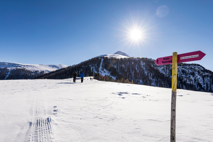 Winter hiking trail Obermutten