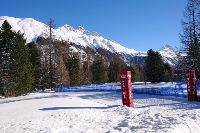 Stazerwald Stazerwald