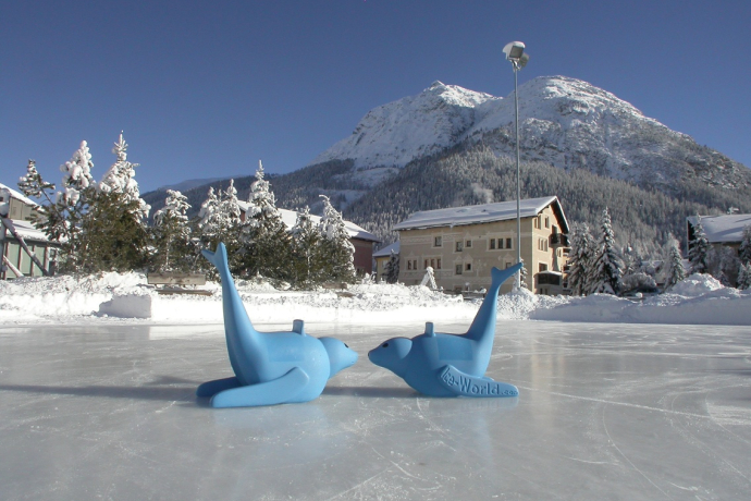 La Punt ice rink (oua_62926968_image)