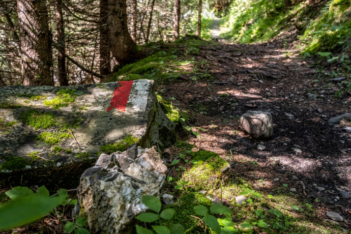 Pagig-Castiel_Schanfigger Dörferweg