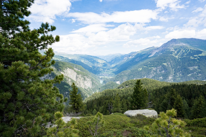 View from the Schwarzwald above Alp Nursera into Val Schons