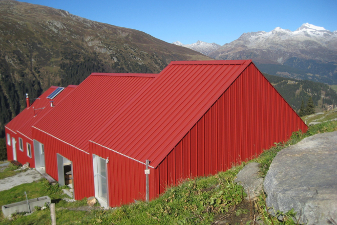 Alpe Puzzetta