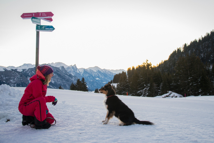 Winter hiking with your dog