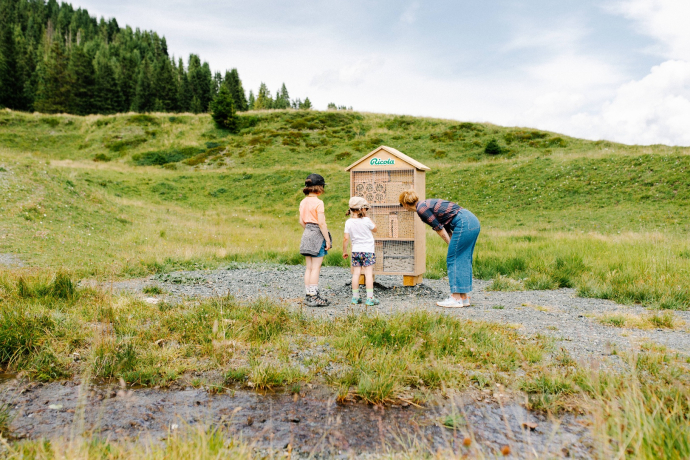 Ricola Adventure Trail Bee Hotel