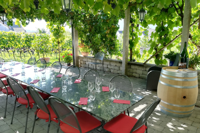 Azienda vinicola Heidelberg, Maienfeld Azienda vinicola Heidelberg, Maienfeld