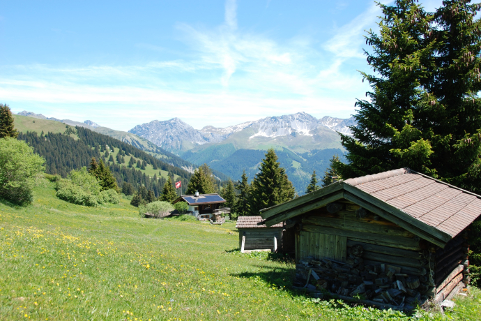 Fatschél - Mattjisch Horn - Langwies