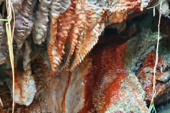 Special characteristics of the spring tuff of the Upper Fuschna spring