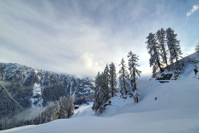 Winterwandern Waldweg Tenna (oua_64680546_image)