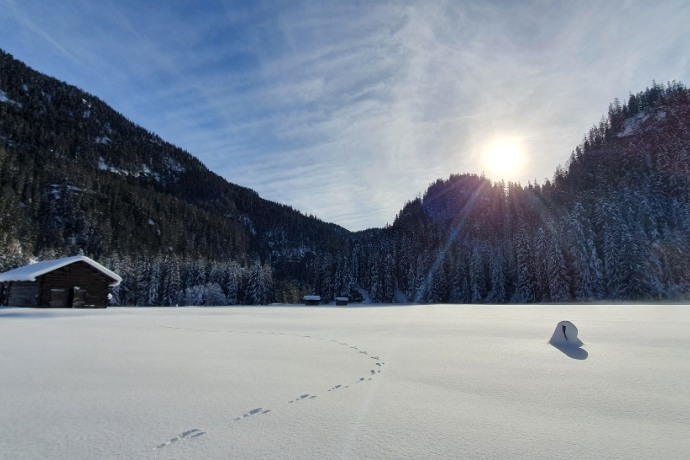 Rona Palecs (oua_64785363_image)