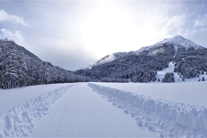 Rona Palecs (oua_64785365_image)