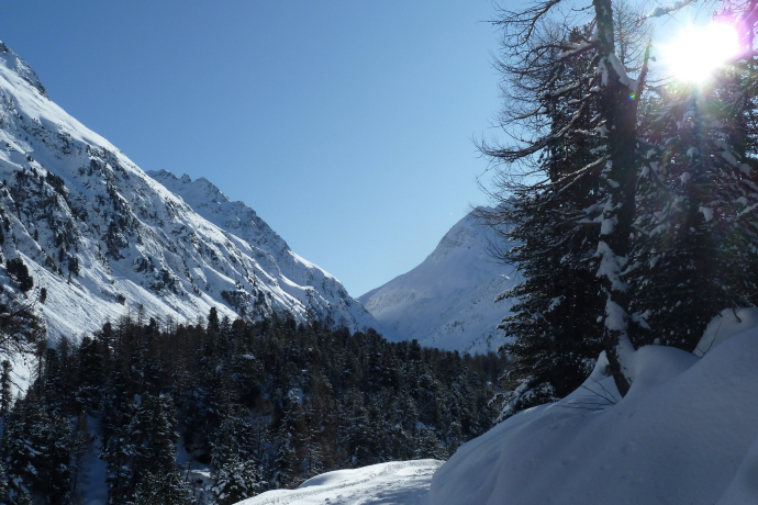 Snowshoe route Cavloc - Plan Canin (oua_64917101_image)