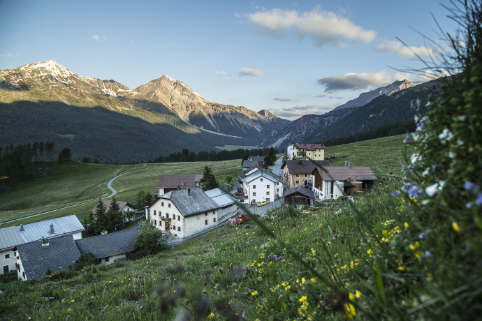 Die Route schlängelt sich auf der Sonnenterrasse Lü Richtung Tschierv