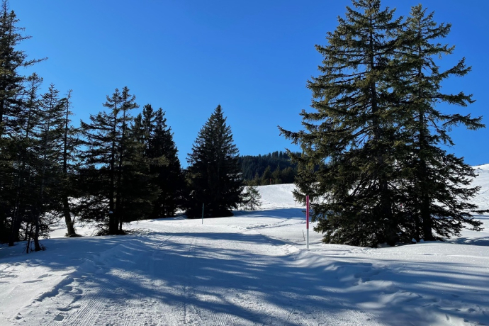 Winter hiking trail Tannenheim-Prodalp Winter hiking trail Tannenheim-Prodalp