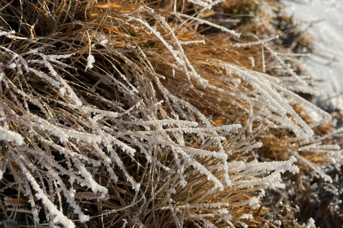 Detailaufnahme Winterwandern