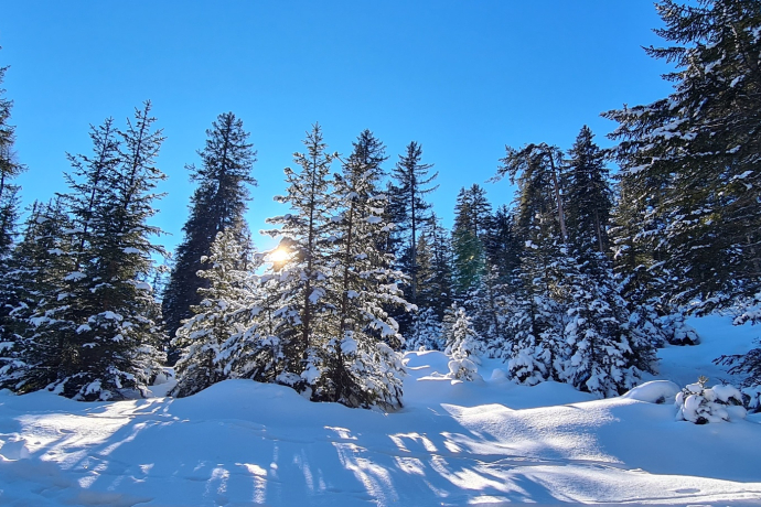 Tigignas - Parnoz - Savognin (oua_65831125_image)