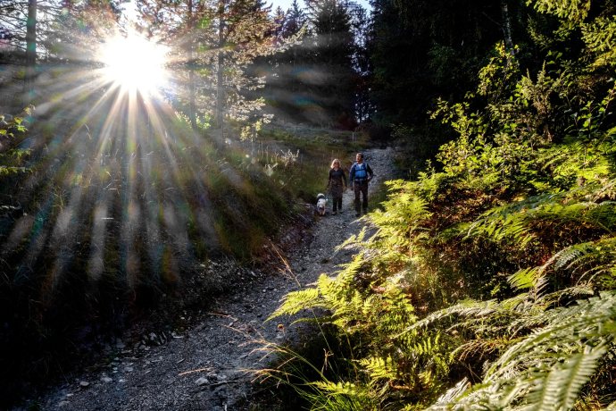 Dörferweg_Tschiertschen-Molinis