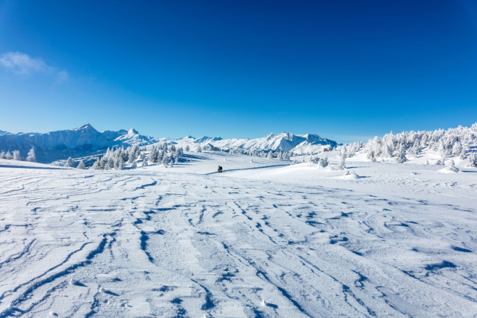 Wonderful winter atmosphere on the high plateau Dreibündenstein