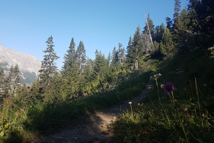 Bergwald-Wundertüte, Darlux (oua_66821065_image)