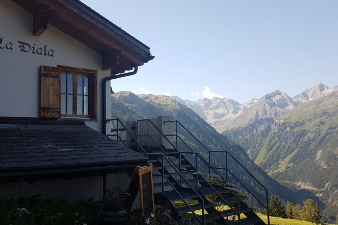 Bergwald-Wundertüte, Darlux (oua_66821066_image)