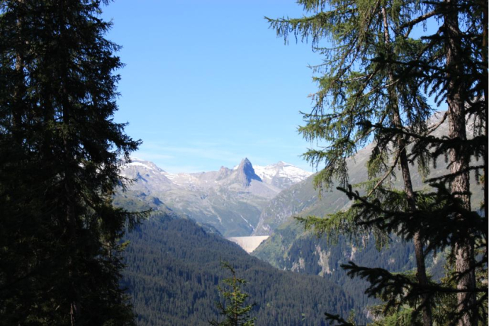 Tappa 3: Vista sullo Zervreilahorn, Valles