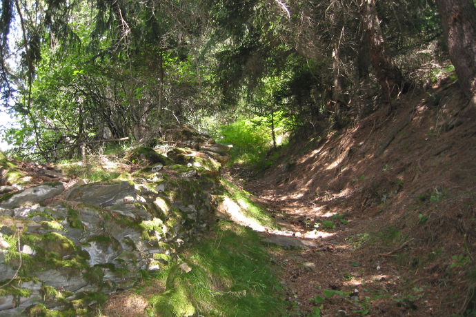 Stage 7: historic transit route above Zillis