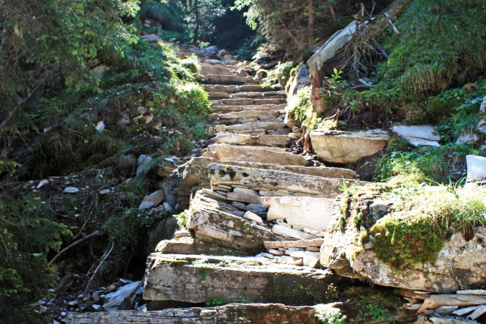 Etappe 9: Steintreppe im Furggwald, Avers
