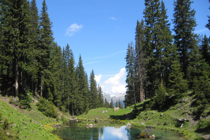 Stage 17: Grüenseeli, Arosa