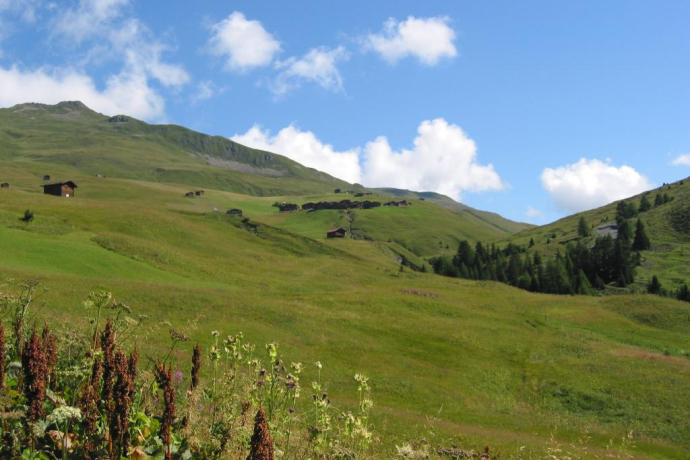 Tappa 18: Strassberg, Fondei