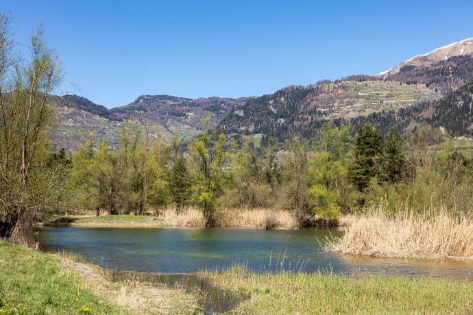 Das kantonale Naturschutzgebiet Munté bei Cazis