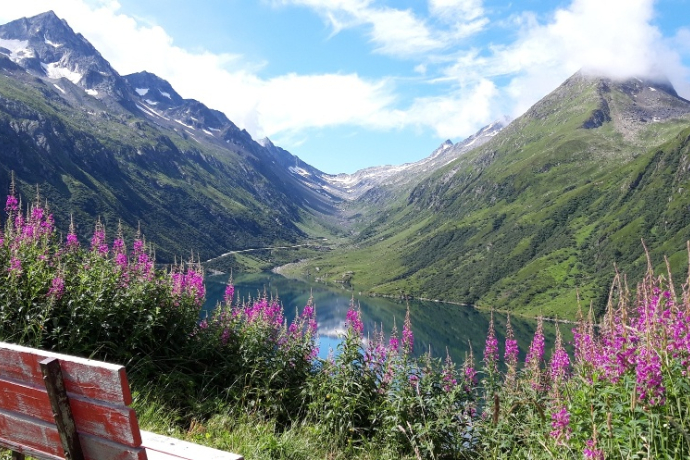 206 Nalps Bike (oua_67047581_image)