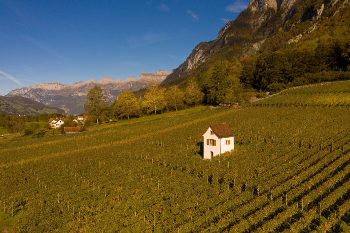 Vineyard Heiligkreuz (Mels)