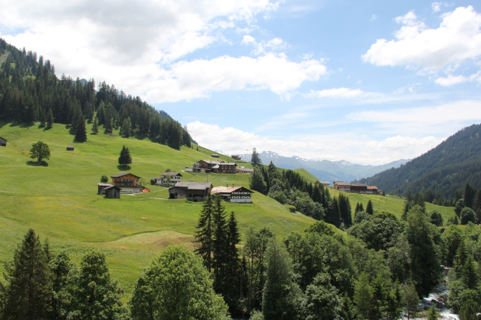 326 Bova (oua_67551795_image)