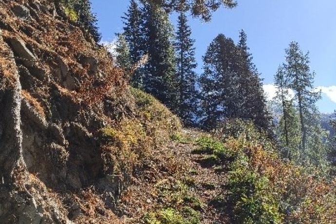 Rundwanderweg Darlux (oua_67676676_image)