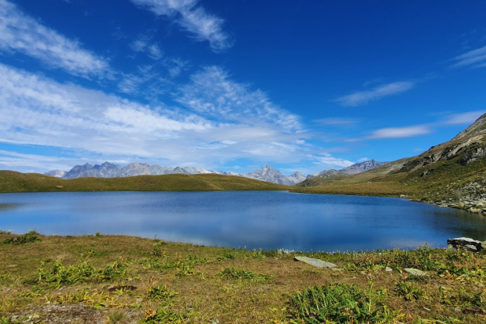 Trailrun - Bergseetrailrun zum Columbansee oberhalb Bivio (oua_67678920_image)