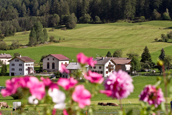 Scenic hike from Pass Umbrail to Giogo di Santa Maria and then to Valchava (oua_70173538_image)