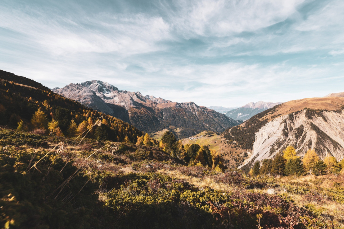 Ausblick vom Panoramaweg