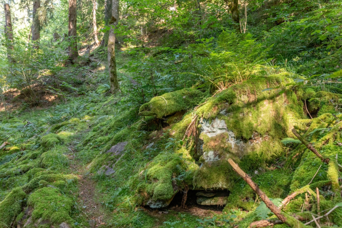 Erlebnisweg "Minas da Gulatsch" (oua_70433225_image)