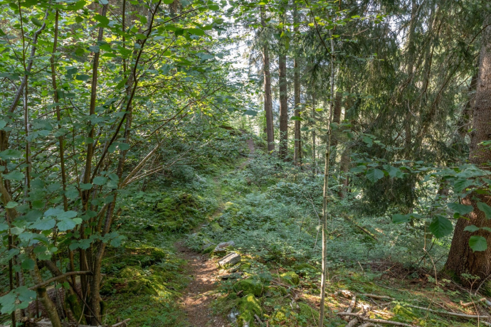 Erlebnisweg "Minas da Gulatsch" (oua_70433226_image)