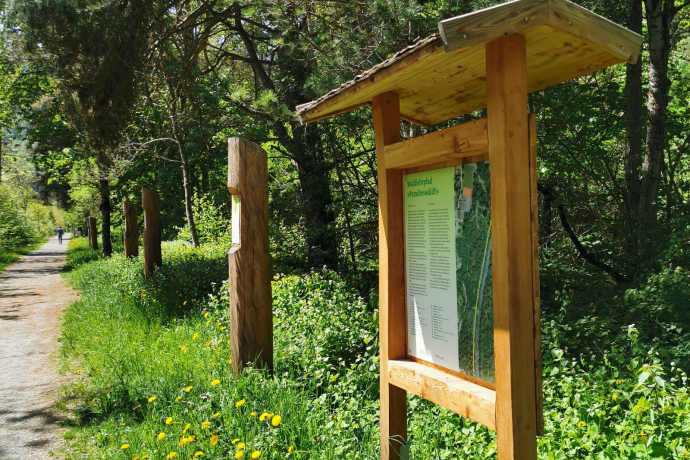 Waldlehrpfad im Paradieswäldli in Ilanz