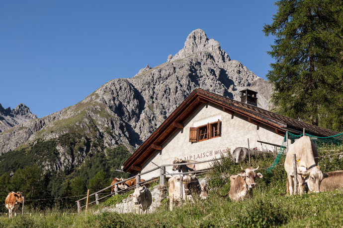 Alp Laisch (oua_71338804_image) Alp Laisch (oua_71338804_image)
