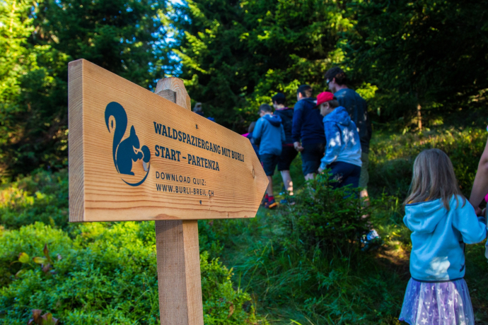Das Foto zeigt einen Wegweiser des Waldspaziergangs