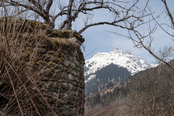 Das Foto zeigt ein Teil der Burgruine Friberg
