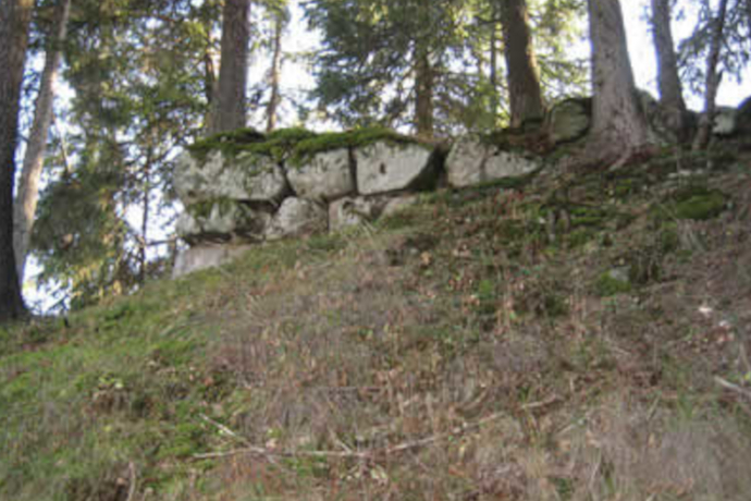 Das Foto zeigt die Burgruine Salons in Schlans