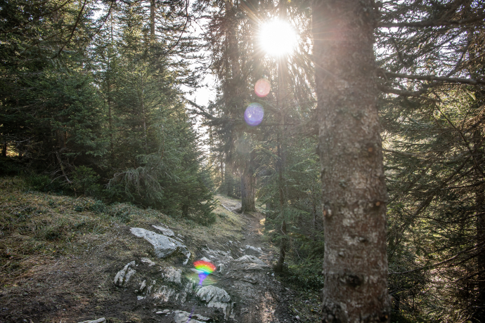 Vallée verte: Plaun- Runca Höhe (oua_71960533_image)