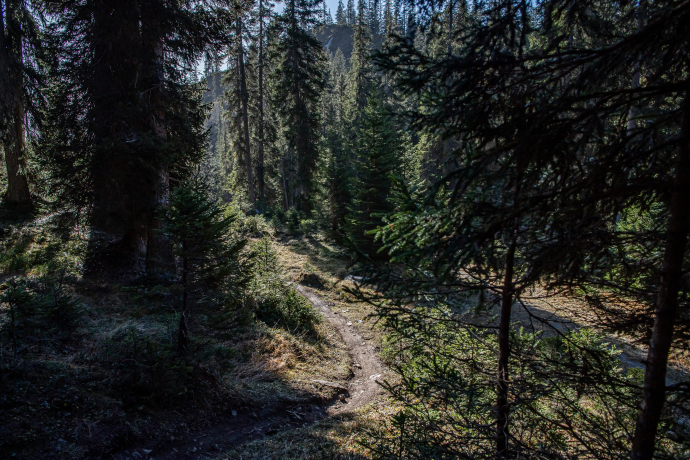 Vallée verte: Plaun- Runca Höhe (oua_71960536_image)