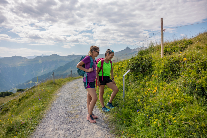Sentier de la flore alpine