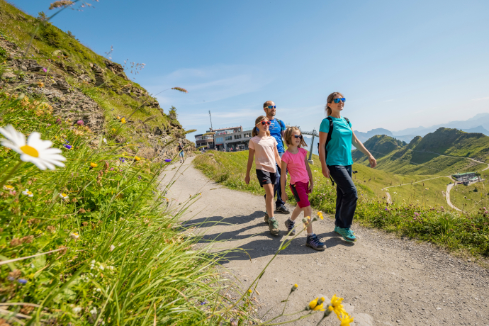 Sentier de la flore alpine