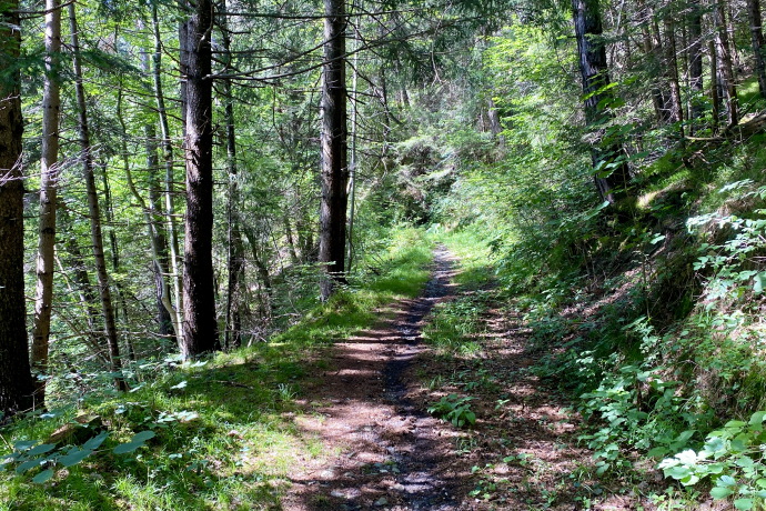 Singletrail to Pt 687